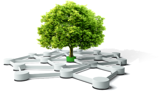 產(chǎn)品遠(yuǎn)銷(xiāo)歐美、東南亞等國(guó)家_江蘇恒安化工